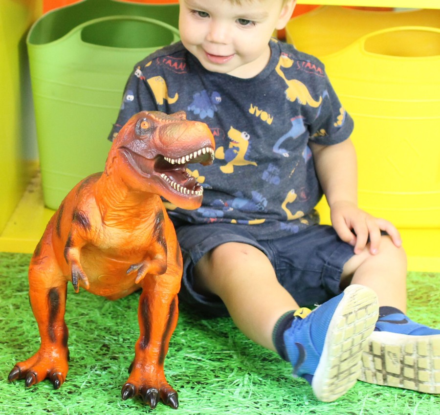 Jumbo Animals Talking Turtle | Jumbo Dinosaur T-Rex Toys - Set Of 2